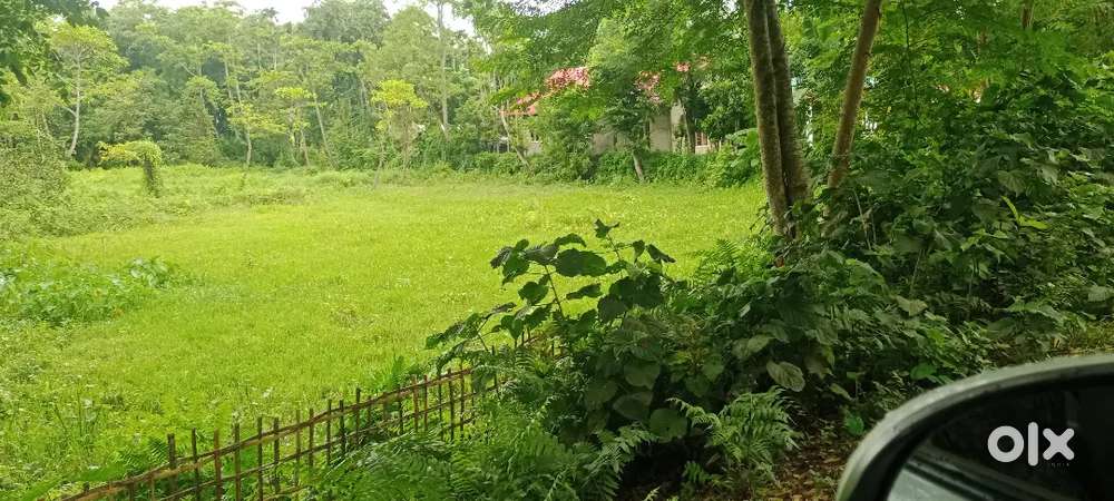 Commercial land for urgent sell