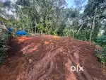 8 cent House Plot for Sale | 8 സെന്റ് സ്ഥലം വിൽപ്പനക്ക്
