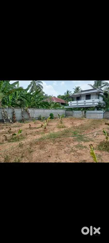 10 cent plot for sale at manakkalappadi, vellangallur.