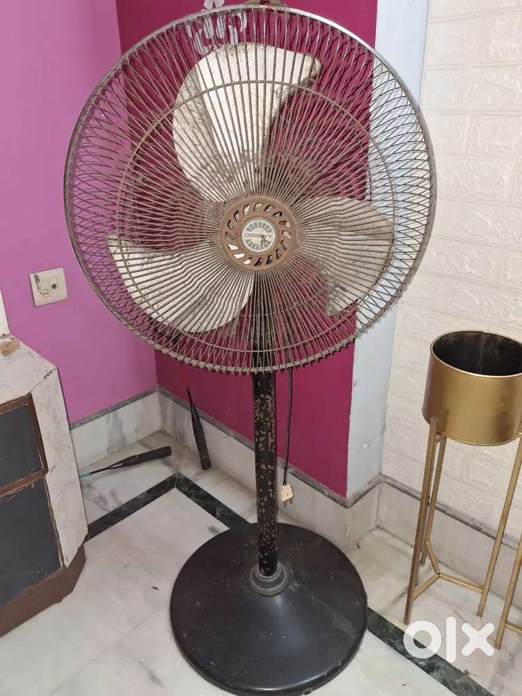 Orient Stand fan