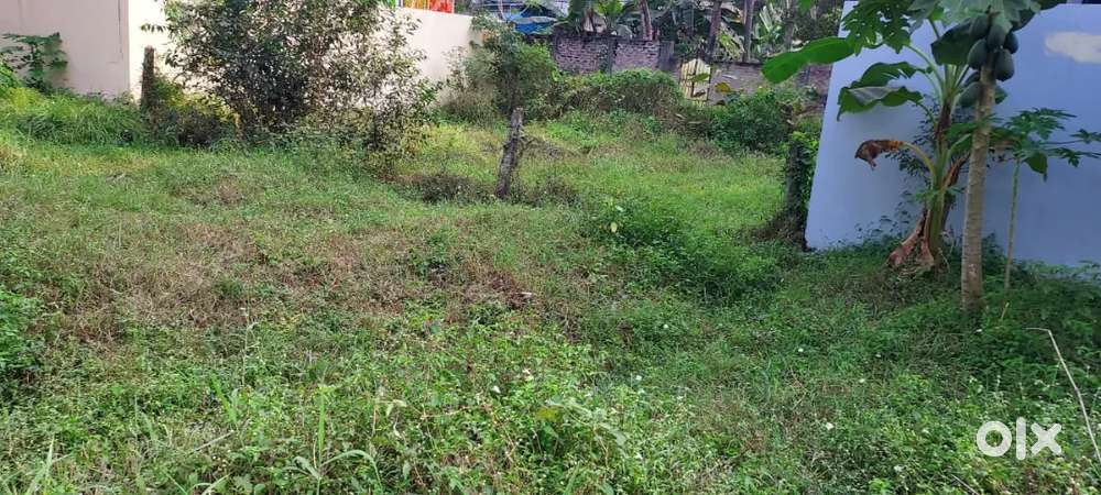 Marteru vanampalli land