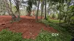 Full plot or as per requirement with negotiable rate and road .