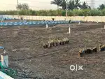 R Zone plot available in Shikrapur