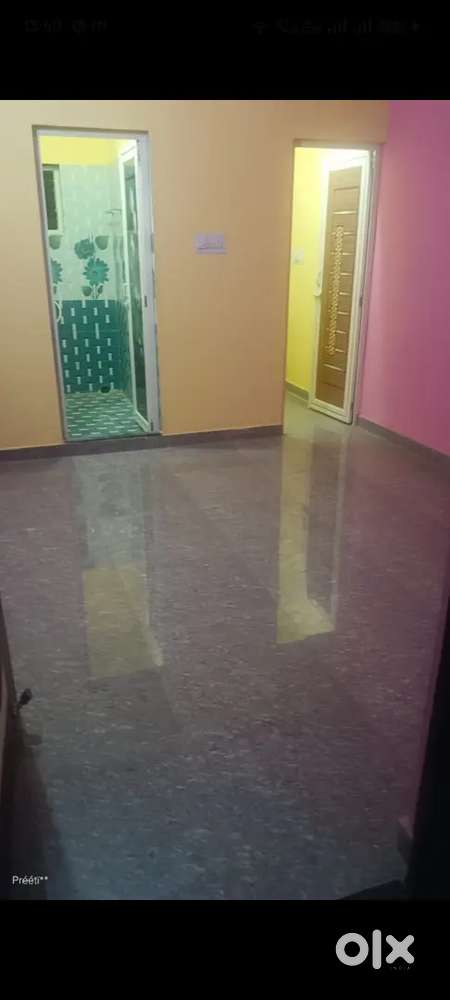 One girl roommate required