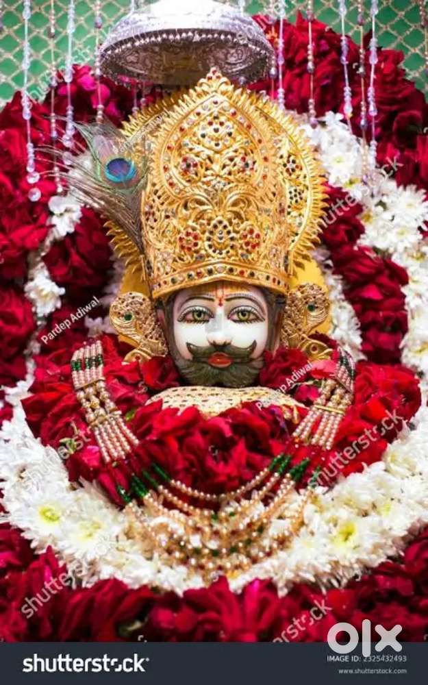 muzhe rent pay room chaiye urgut