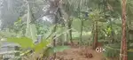 വീടിനുള്ള പ്ലോട്ട്, പുഴക്ക് അരികെ കൃഷി സ്ഥലം