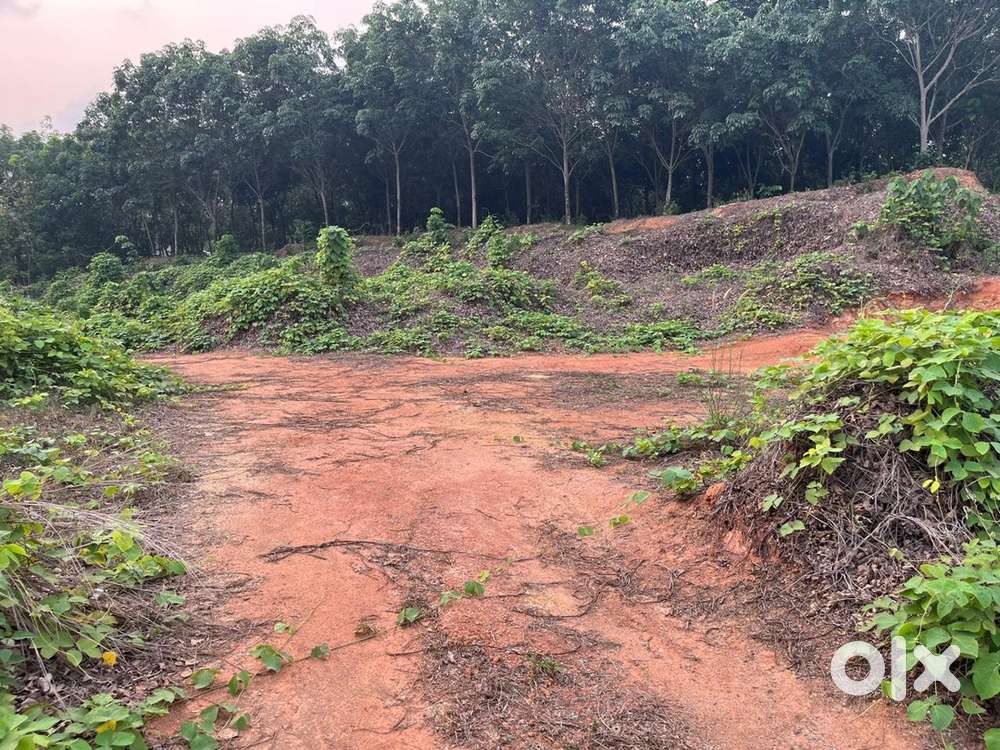 10 cent residential plot at Kolenchery