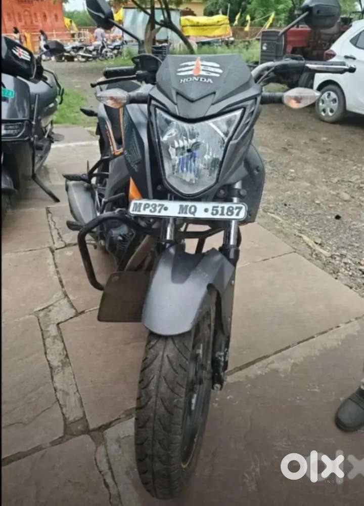 Hornet bike