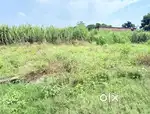 18 feet Road at front of Plot and 100 Ghaj area