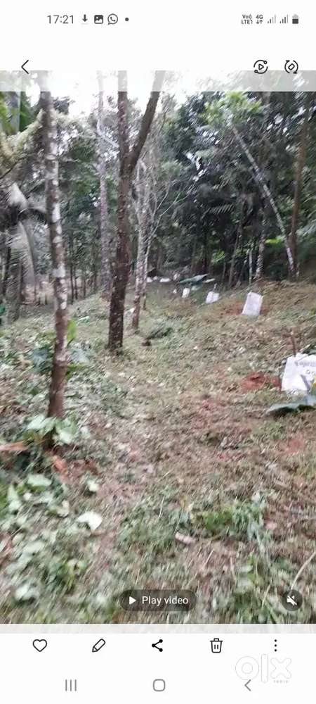 തലയാട് മണിച്ചേരി mala per സെന്റ് 35000