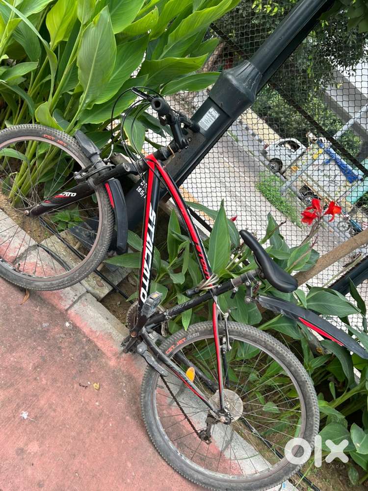 Stacato 21 gear cycle