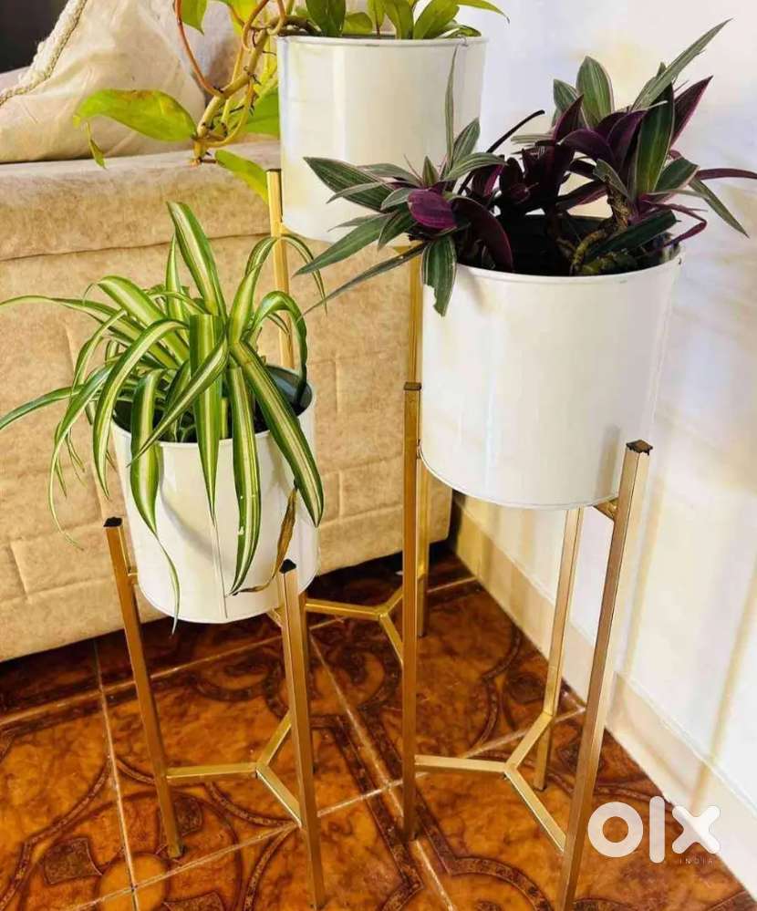 Decorative Designer Planter Stands For Sale