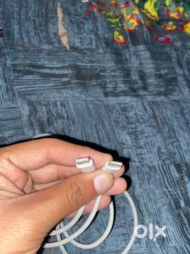 Apple data cable orignal