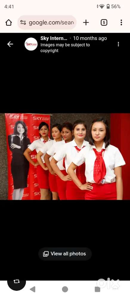 Aviation, Hotel management, tourism management