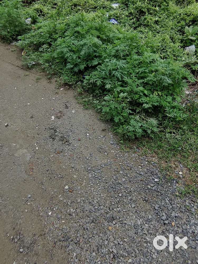 अपने सपनों का घर होगा अब अपना