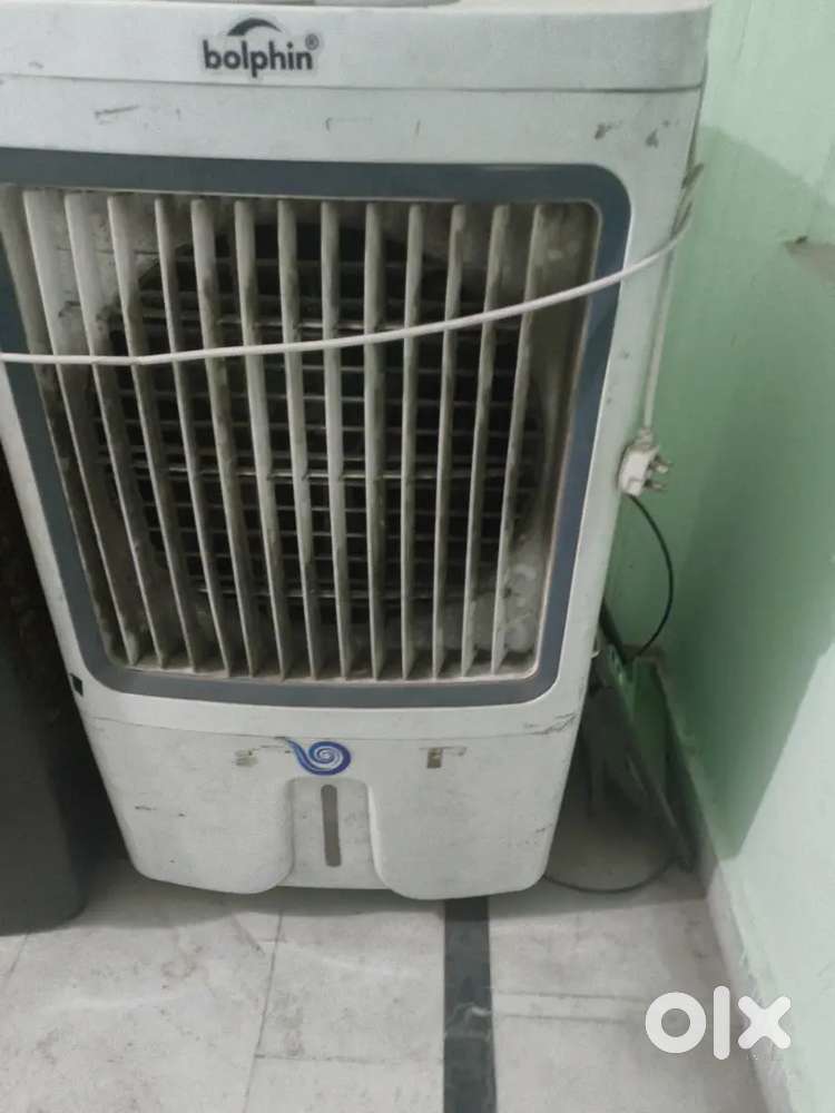 6 month old cooler at low price