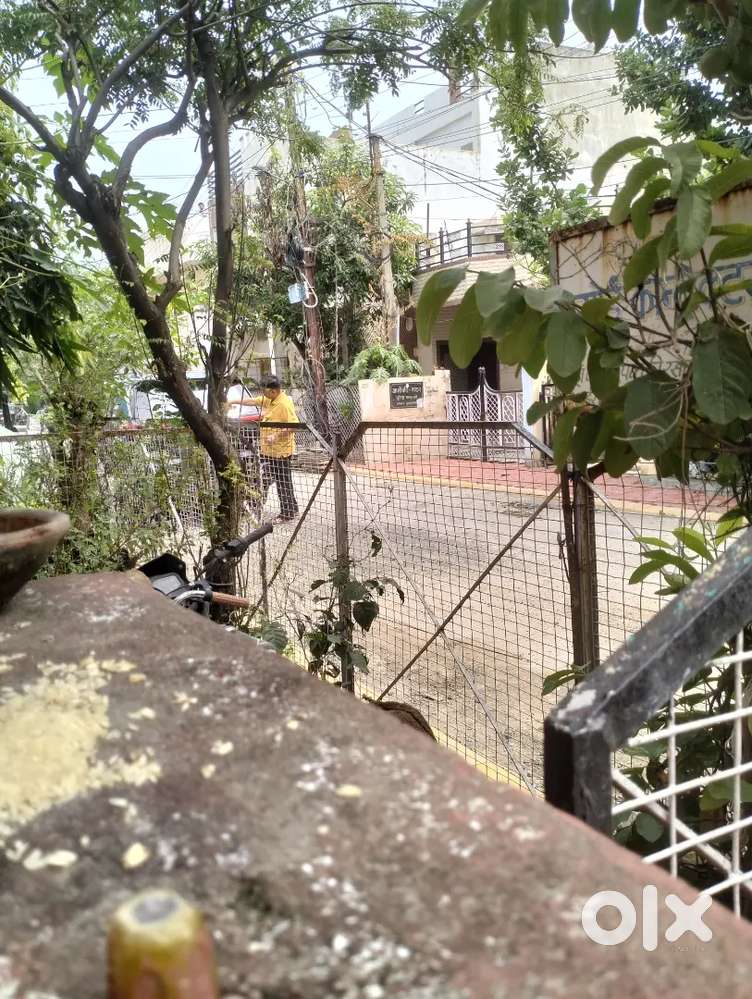 Home work Daily morning & afternoon