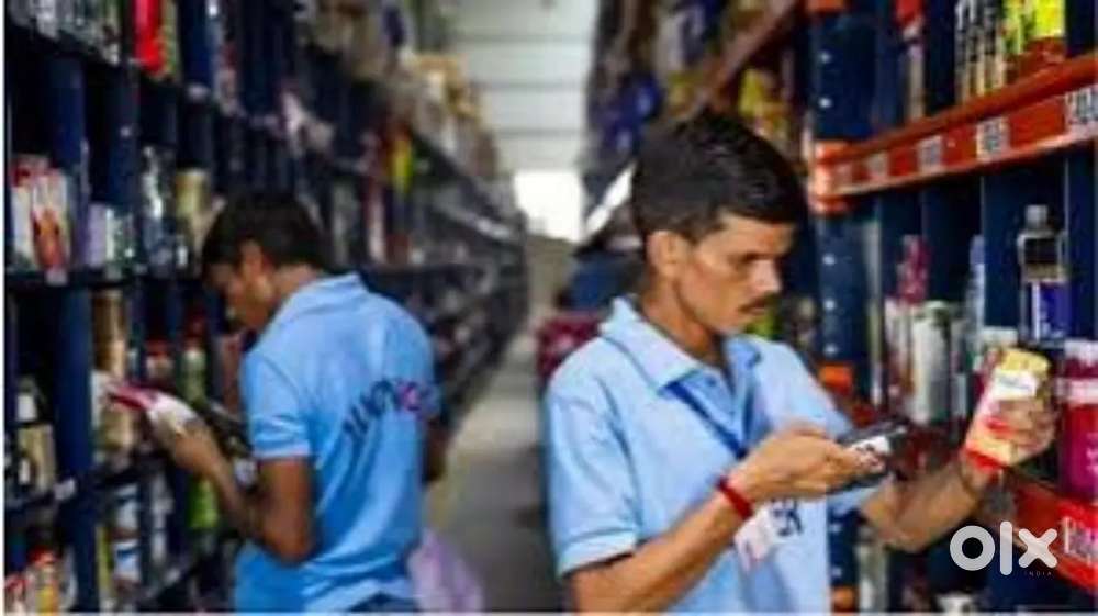 Wanteed m/f packing helpers