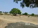2 acre agriculture land for sale