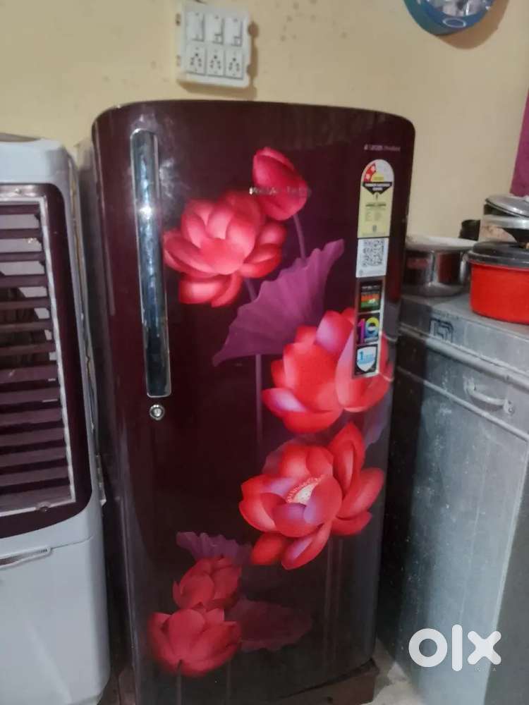 Brand new condition 2 month yous and 6 month old