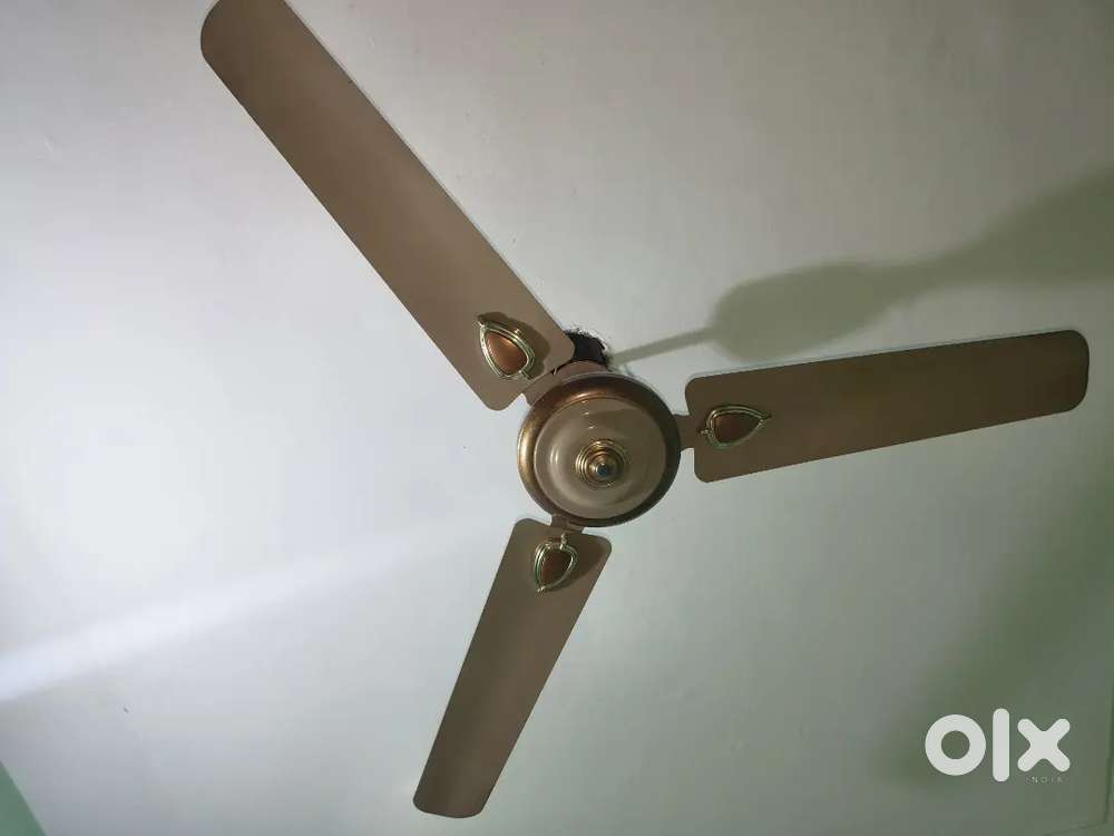 Ceiling fan
