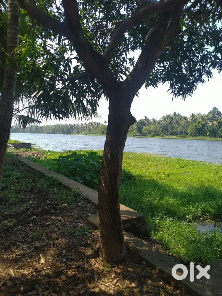 30 Cent Waterfront Land for sale.