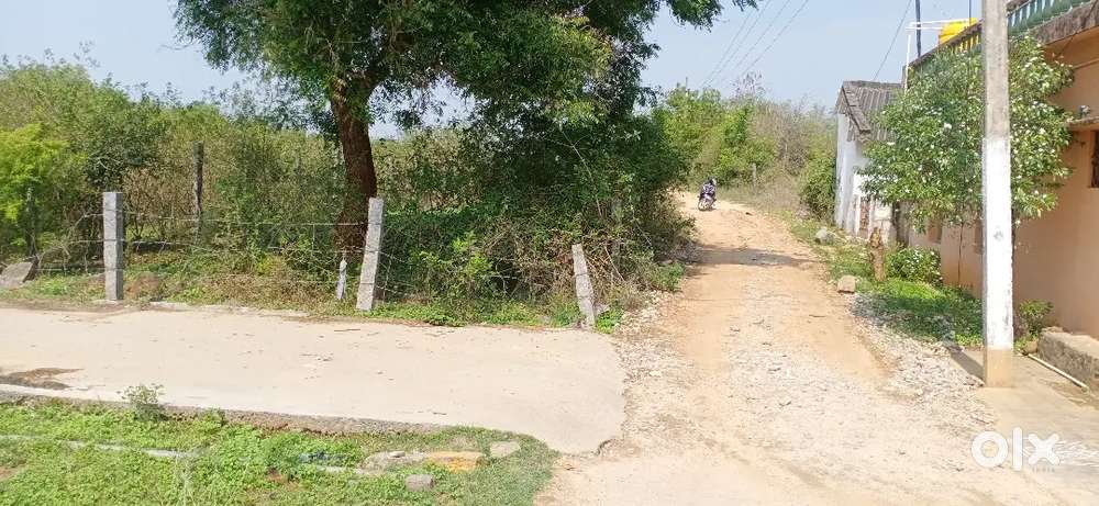 Near CHITTOOR COLLECTORATE OFFICE