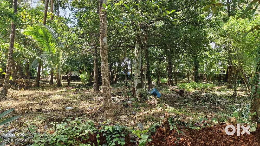 20 cent land for sale