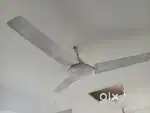 Ceiling Fan