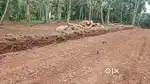PRIME PLOT FOR SALE NEAR CHALA KOYYODE KANNUR