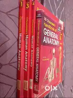 Anatomy BD chaurasia