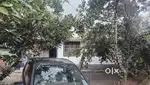 1360 Sqft House in Kalpetta