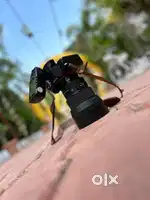Sony A7iii with 28-70 mm lens