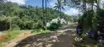 12 cent plot for sale