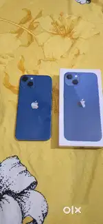 Iphone 13 Super Mint Condition Indian version