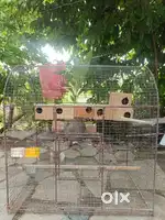 2 Cage Pinjara