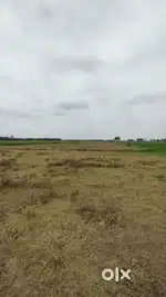 Karukatipatti agri land sale