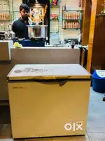 Deep Freezer Minus 20 deg C
