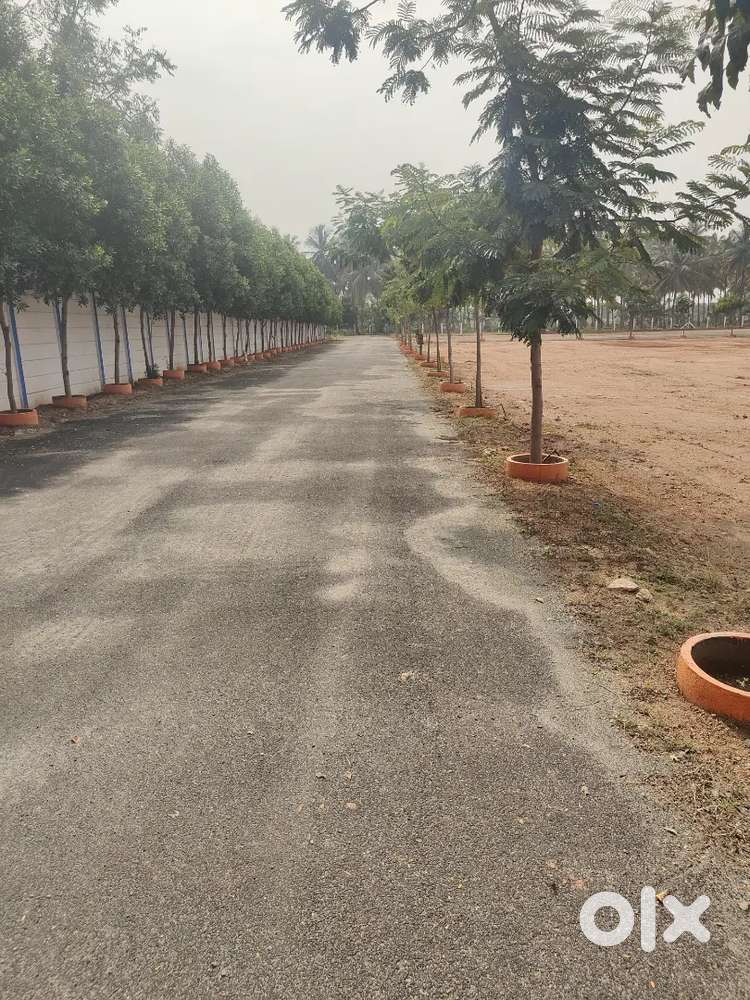 26 CENTS LAND FOR SALE