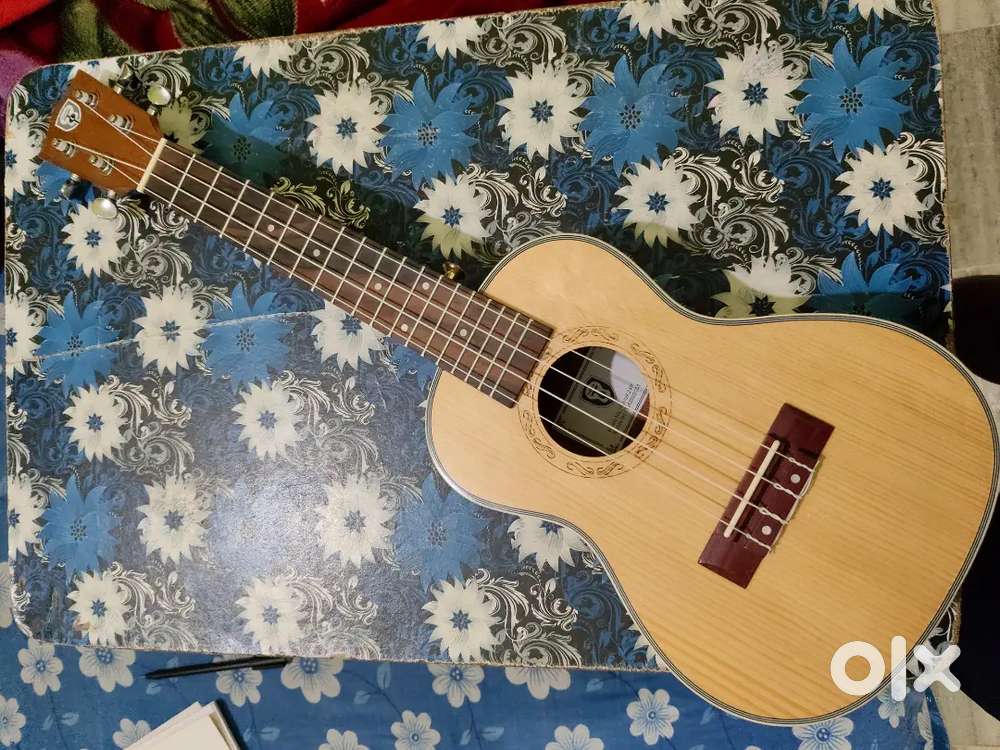 Ukulele Music instrument (Techno)