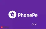 Phone pe executive field job