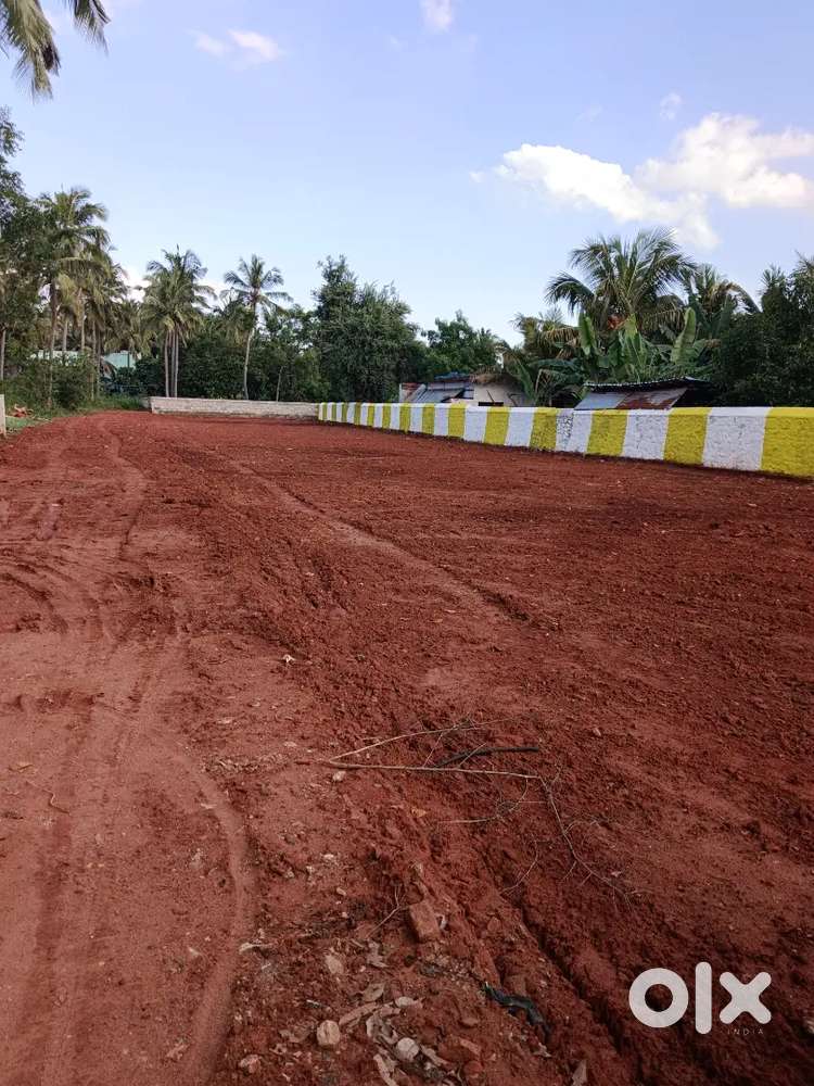 4.8 Cent Budget friendly DTCP APPROVED Plot in Konam Paruthivilai