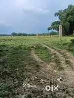 Udarbond sani mandir lane 4 khatha plot for sale at