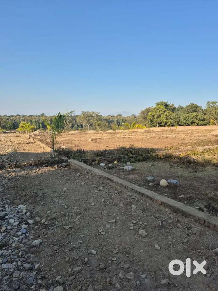 Plots avilable Charba village shyam vatika Gated.