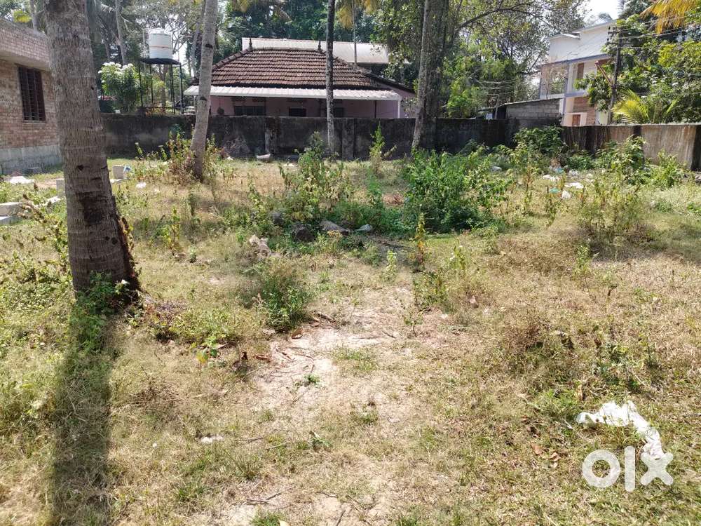 Kollam medayilmukku 10 Cent  Will Give as 2 Plots