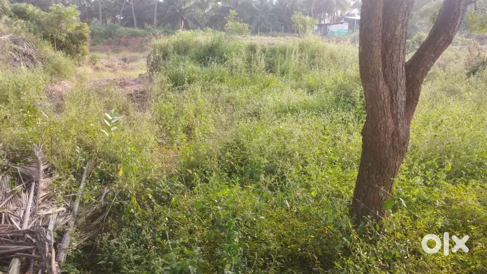 Perundurai Vijayamangalam By pass near plot for sales
