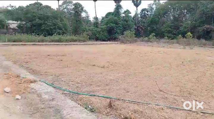 Palakkad Kanjikode – Premium Plots & Villas for Sale Near Highway!