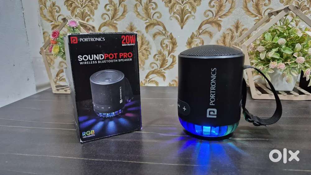 Portronics Loud Speaker