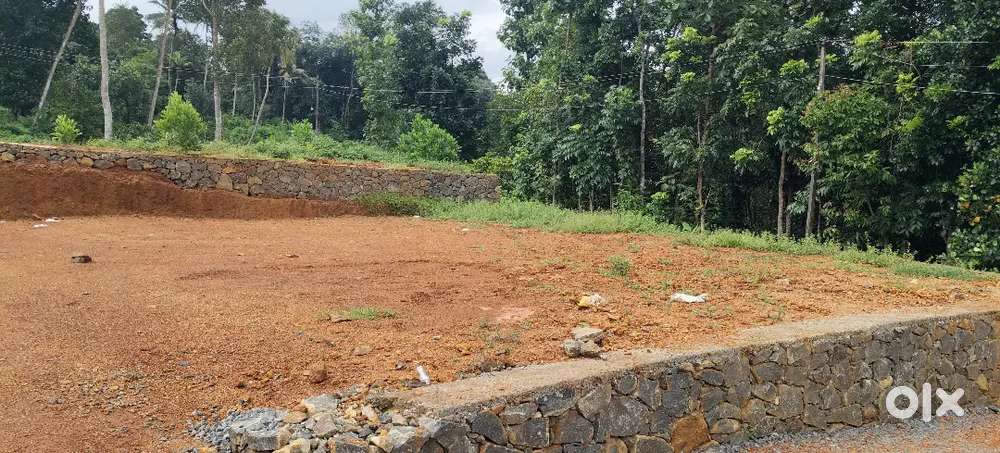 ഏറ്റുമാനൂർ ബൈപാസ് റോഡിന് അടുത്ത് 12 സെന്റ് സ്ഥലം വില്പനക്ക്