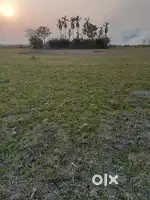 Highway Touch Land for Sale - Hajo Sualkuchi  Myadi Patta